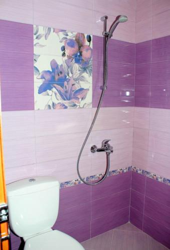 a bathroom with a toilet and a shower with a painting at Къщи за гости Илиеви , Цигов Чарк in Batak