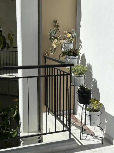 Pnoe Boutique Apartment