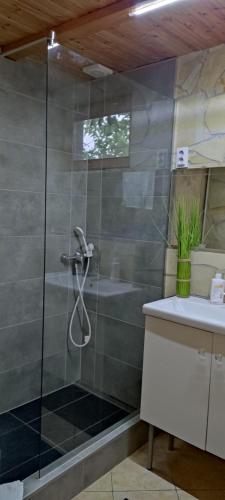 a bathroom with a shower and a sink at BpR P3 Lodge Apartment with A/C in Budapest