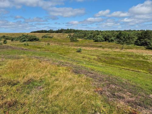 a field of grass with trees in the background at 4 person holiday home in Vejby in Vejby