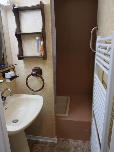 a small bathroom with a sink and a mirror at Studio Le Fontagnel in Molines-en-Queyras