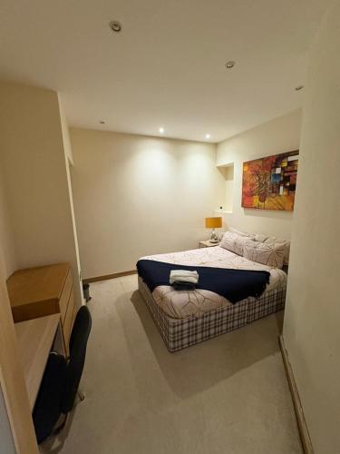 a bedroom with a bed and a painting on the wall at Sunderland City Cozy Flat in Sunderland
