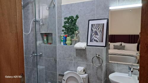 a bathroom with a toilet and a sink and a mirror at Midtown LakeView 2BR House with Heated pool, Netflix, 24Hr security & reception -Shawmut Nakuru in Nakuru