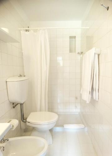 a white bathroom with a toilet and a shower at Casa dos Pinheiros - Pinheiros Farm House in Fafe
