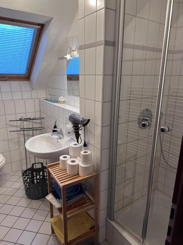 a bathroom with a sink and a shower at Apel Apartments 2 in Nörten-Hardenberg