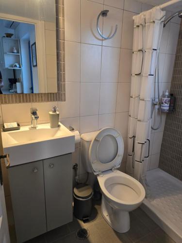 a bathroom with a toilet and a sink and a shower at Kapsali Beach House in Kapsali