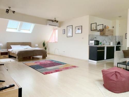 a large living room with a bed and a kitchen at Altavista mountain apartment in Samokov