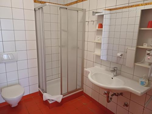 ein Badezimmer mit Dusche, Toilette und Waschbecken in der Unterkunft Georgshof in Podersdorf am See