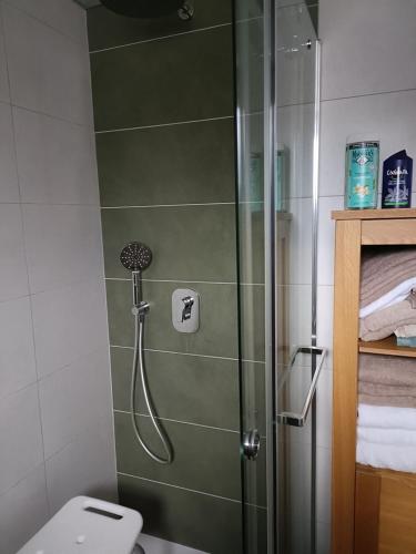 a shower stall in a bathroom with a toilet at Le Chalet des Pas Sages in Longevilles-Mont-dʼOr