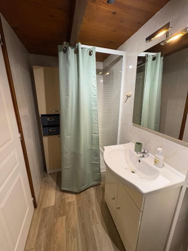 a bathroom with a shower and a white sink at Triplex Hyper Centre Bastia Direct Musée et Citadelle in Bastia