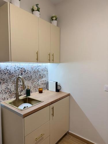 una cucina con un lavello e un bancone di Paula Acropolis Thissio ad Atene