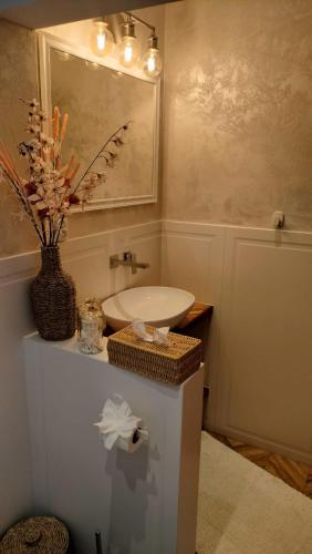 a bathroom with a sink and a mirror at Las i Woda in Lubin