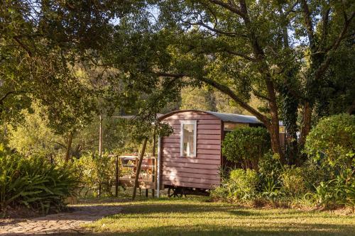 a small shed sitting in the grass under a tree at The Huts - Glamping at Caledon Grace in Caledon