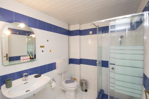 a bathroom with a toilet and a sink and a shower at Aquarius Apartments "by Checkin" in Agia Pelagia