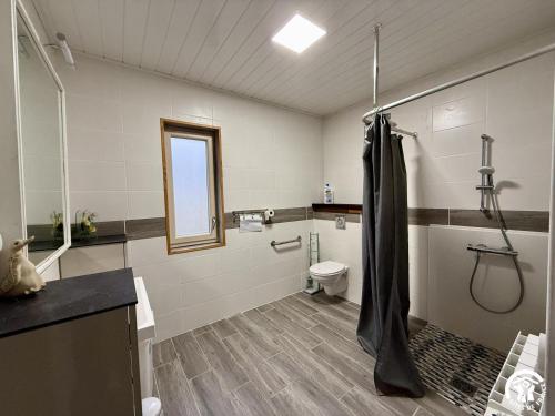a bathroom with a shower and a toilet at Les ferrajals in Rouvenac
