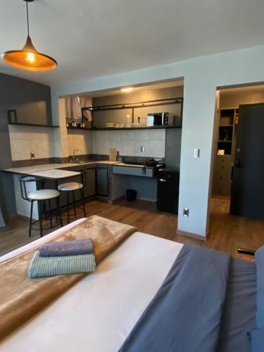 a large room with a bed and a kitchen at Bright Studio Apartment Casa Icacos Apt 3 in Mexico City
