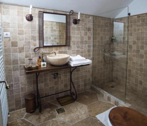 a bathroom with a sink and a shower at Domeniul Drăgași in Călina