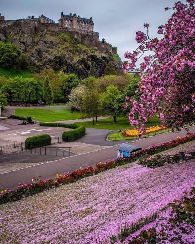 a park with flowers and a castle on a hill at 233 Leith Apartment in Edinburgh