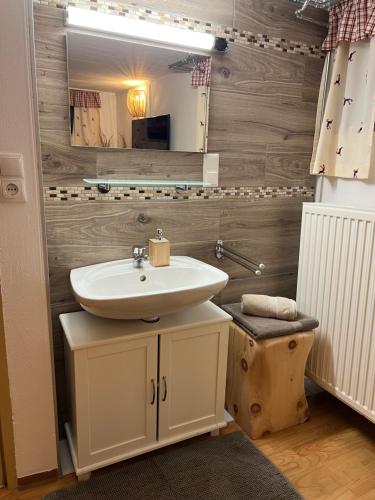 a bathroom with a sink and a mirror at Umundumhütte in Katsch an der Mur