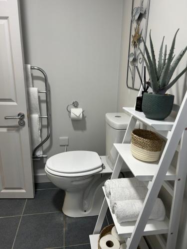 a bathroom with a toilet and a shelf with a plant at Westport Rooms in Westport