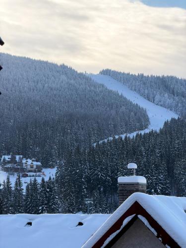 Brand New Family Apartment in Harrachov Center with Garage & Mountain View