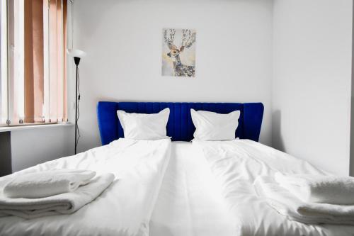 Cozy Central 1BD Apartment