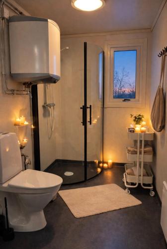 a bathroom with a shower and a toilet in it at Frost Longstay City in Kiruna