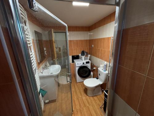 un baño con inodoro, lavabo y lavadora en Underhillhouse, en Liběšice