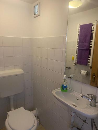 a bathroom with a toilet and a sink and a mirror at Chalet Traian & Ruxandra in Sinaia