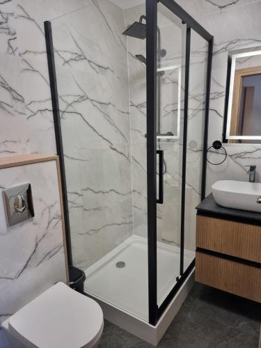 a bathroom with a shower and a toilet and a sink at Apartament 5- Bliżej Zdroju in Polanica-Zdrój