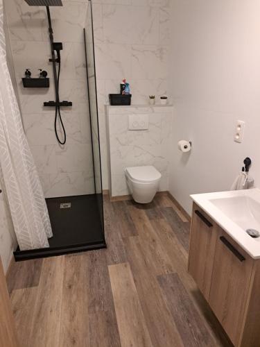 a bathroom with a shower and a toilet and a sink at B&B Hoeve Terwinghe in Gingelom