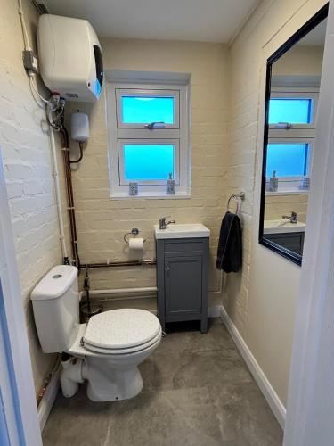 a bathroom with a toilet and a sink and a window at The old greengrocers Battlesbridge in Rawreth