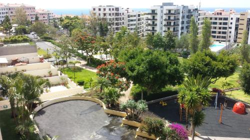 Tulipa View Apartament