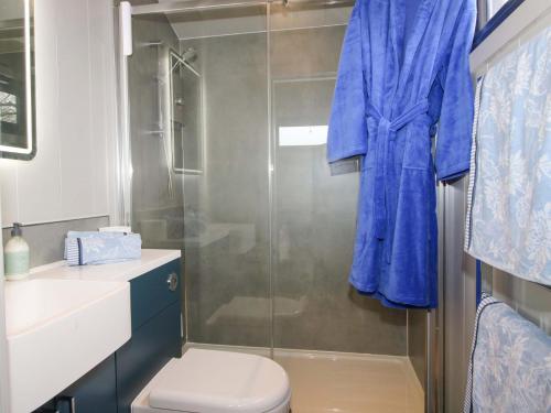 a bathroom with a toilet and a glass shower at Leafy Oaks Cabin in Much Wenlock
