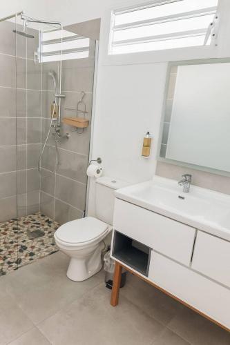 a bathroom with a toilet and a sink and a mirror at Villa 4 étoiles Le Pic de Malendure in Bouillante