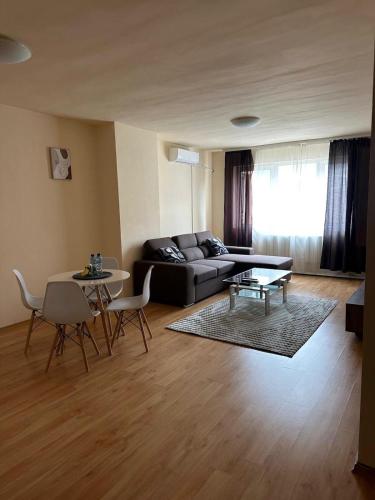 Nice, Spacious and Cozy Apartment