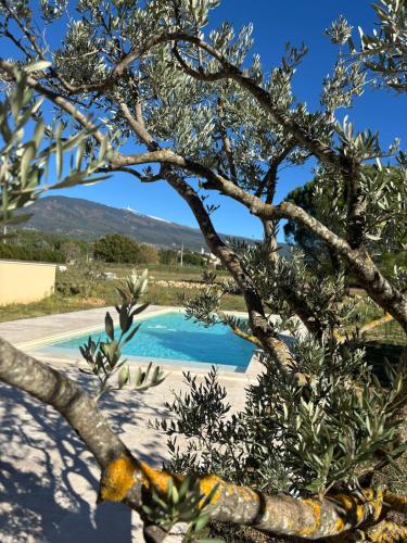 Le Mas des Grillons, mas rénové entièrement climatisé avec piscine et vue Ventoux