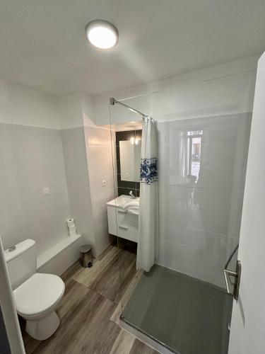 a bathroom with a toilet and a shower and a sink at Logis Hotel-restaurant Les Glycines in Arles-sur-Tech