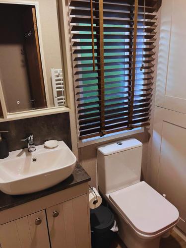 a bathroom with a toilet and a sink and a mirror at St Minver Hideaway in Saint Minver