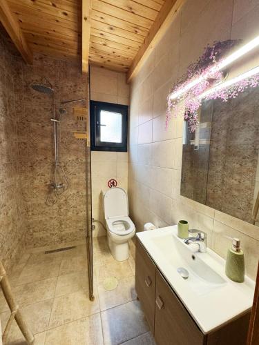 a bathroom with a toilet and a sink and a shower at Burnelia Garden House in Lefkimmi