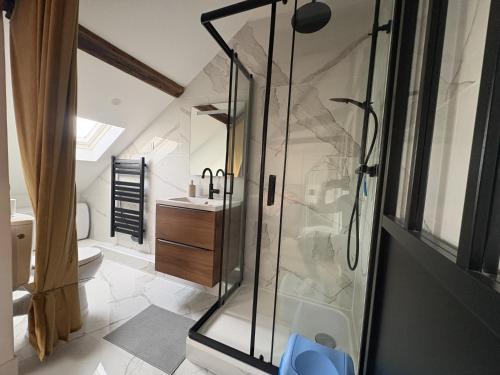 a bathroom with a shower and a sink at Rustique Chic proche centre-ville in Clermont