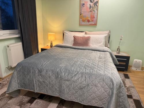 a bedroom with a bed with a gray comforter and pillows at Odessa Guest House-City Center in Chişinău