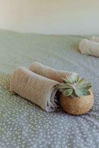 a rolled up towel with a plant on a bed at Tiny Bali spa house in Menaldum