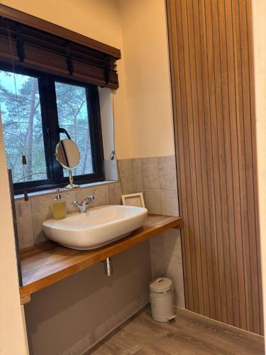 a bathroom with a sink and a window and a mirror at Toad Hall in Grimston