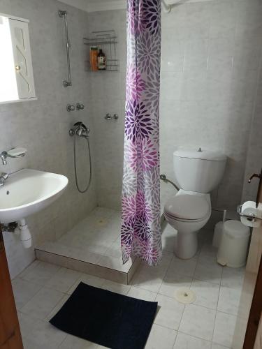 a bathroom with a shower curtain and a toilet at Livanos Apartments in Neapoli Voion