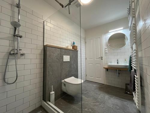 a bathroom with a shower and a toilet and a sink at Rychtrova bouda Benecko in Benecko