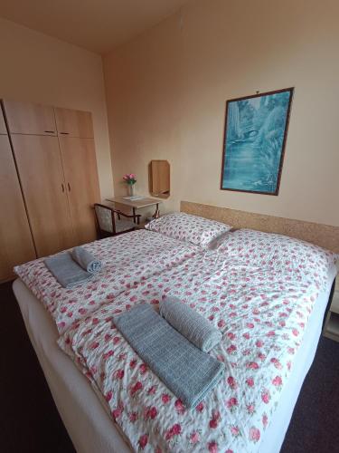 Hotel Avion