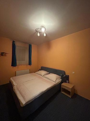 a bedroom with a bed with a light on the ceiling at Apartmán u Milana v Pisku in Písek