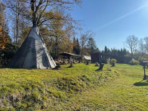 a tent in a field next to a tree at Fox House Tisá / Rájec in Tisá