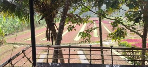 Gallery image of Murari in Kovalam